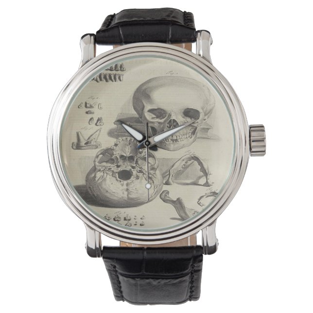 Medische schedel Art Watch Horloge (Voorkant)