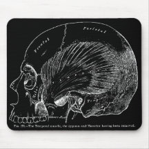  medische Tekening Humaan Temporele Spier