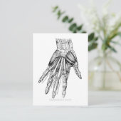  medische tekenspieren briefkaart (Staand voorkant)