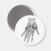 medische tekenspieren magneet (Voorkant / Achterkant)