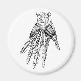  medische tekenspieren magneet