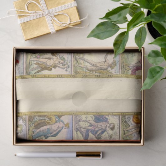 Medische Wereldkaart (door Willem Blaeu) Tissuepapier (Geschenk)