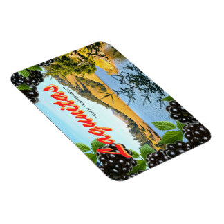 "Meditatie bij Lagunitas" Briefkaart-geïnspireerde Magneet