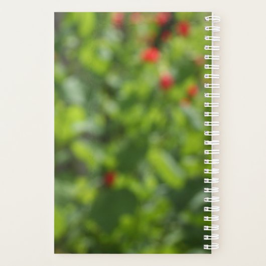 Meditatie Boeddha Planner (Achterkant)