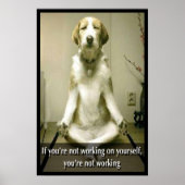 Meditatie Dog Poster (Voorkant)