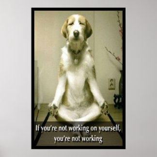 Meditatie Dog Poster