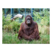 Meditatie Foto Afdruk (Voorkant)