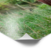 Meditatie Foto Afdruk (Hoek)