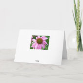 Meditatie in de Weide Kaart (Achterkant)