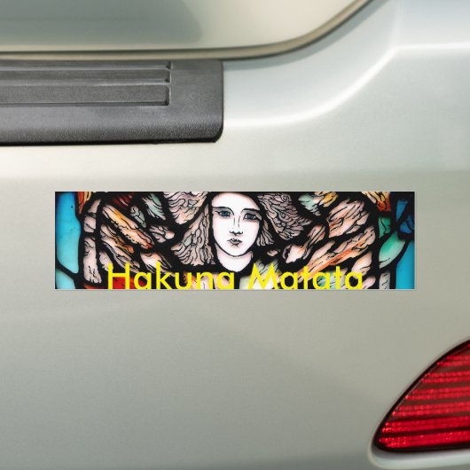 Meditatie in kleuren bumpersticker (Op auto)