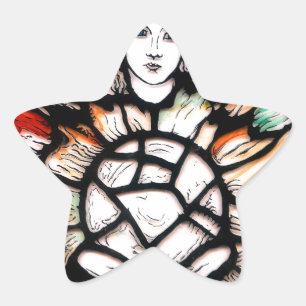 Meditatie in kleuren ster sticker