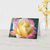 Meditatie op een Roos Kaart (Gele Bloem)