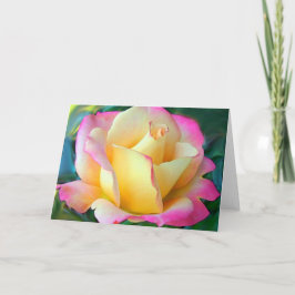 Meditatie op een Roos Kaart