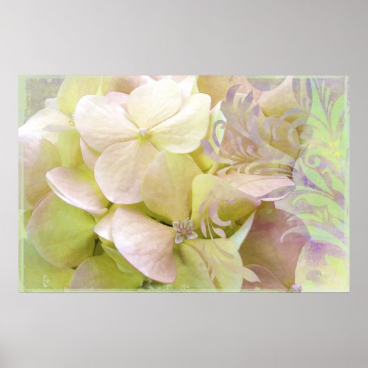 Meditatie, Opalescent Hydrangea Poster (Voorkant)