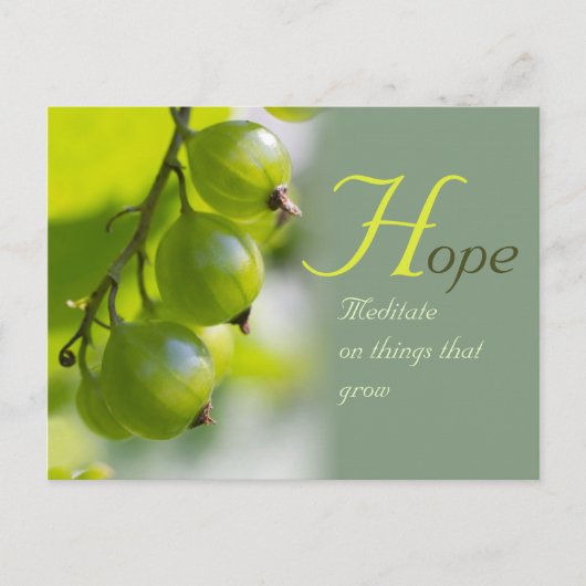 Meditatie over dingen die CC0330 kweken Briefkaart (Voorkant)