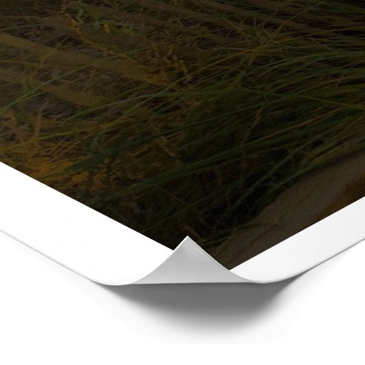 Meditatie Poster (Hoek)