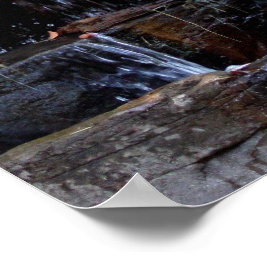 Meditating Silver Back Gorilla Poster (Hoek)