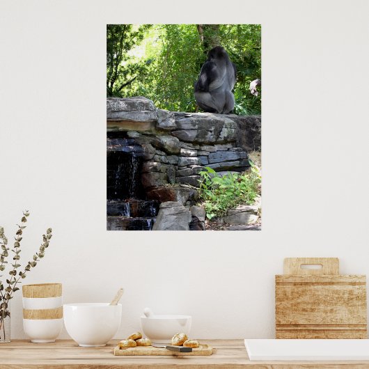 Meditating Silver Back Gorilla Poster (Keuken)