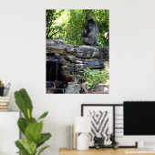 Meditating Silver Back Gorilla Poster (Thuiskantoor)