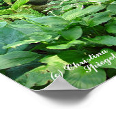 Meditation Buddha Garden Poster (Hoek)