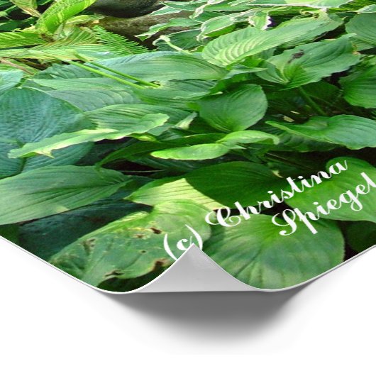 Meditation Buddha Garden Poster (Hoek)