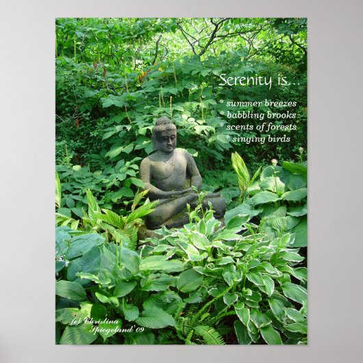 Meditation Buddha Garden Poster (Voorkant)