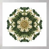 Meditative Sacred Geometry: Fractal Flora Poster (Voorkant)