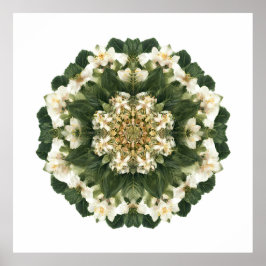 Meditative Sacred Geometry: Fractal Flora Poster
