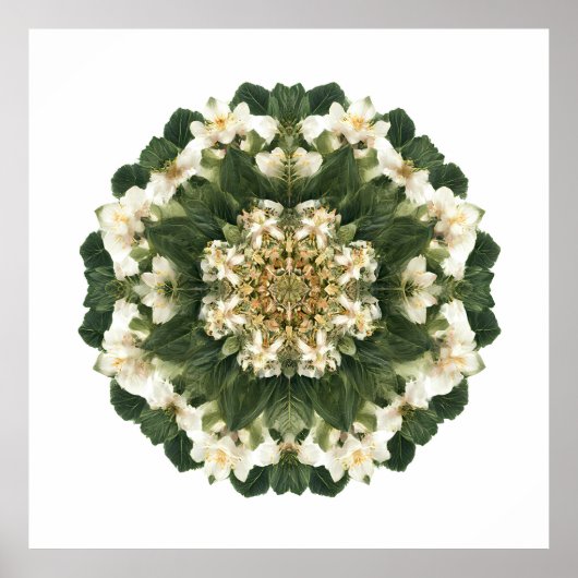 Meditative Sacred Geometry: Fractal Flora Poster (Voorkant)