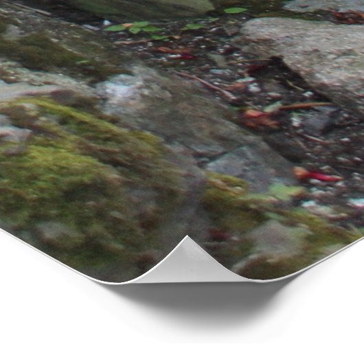 Mediterane Architektur Poster (Hoek)