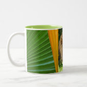 Mediterende mok (Links)