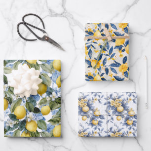 Mediterraan Citroen Botanisch Citrus Patroon Inpakpapier Vel