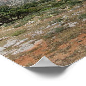 mediterraan landschap poster (Hoek)