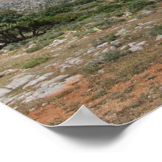 mediterraan landschap poster (Hoek)