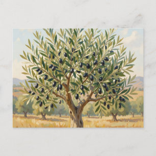 Mediterraan olijfboomlandschap briefkaart