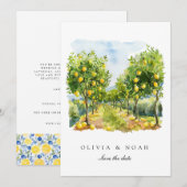 Mediterraanse citroen Save The Date Bruiloft Kaart (Voorkant / Achterkant)