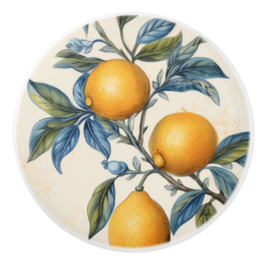 Mediterrane citroenboomgaard keramische knop (Voorkant)