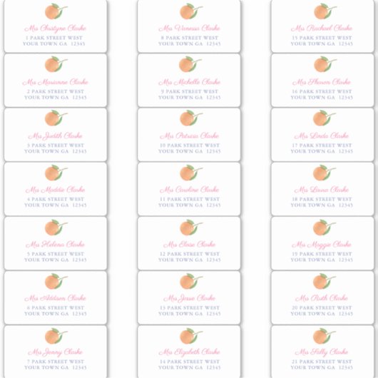 Mediterrane Citrus Pink Guest Envelope Adres Sticker (Voorkant)