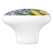 Mediterrane Lemons Summer Portugese Tegels Keramische Knop (Zijkant)