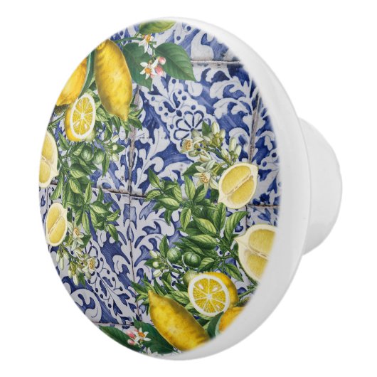 Mediterrane Lemons Summer Portugese Tegels Keramische Knop (Rechts)