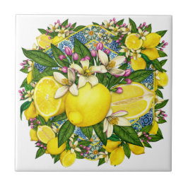 Mediterrane Patroonkleur 6 Keramische Tegel Tegeltje