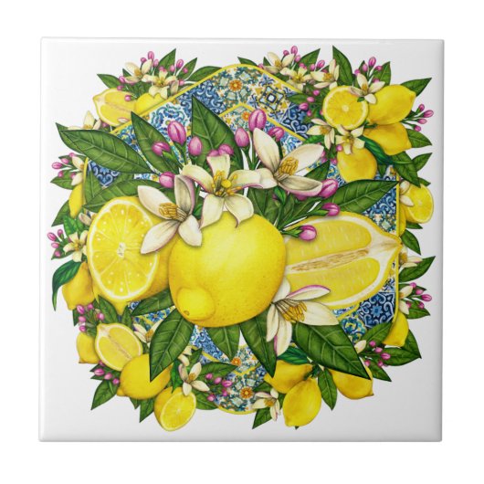 Mediterrane Patroonkleur 6 Keramische Tegel Tegeltje (Voorkant)