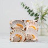 Mediterrane sint-jakobsschelpen briefkaart (Staand voorkant)