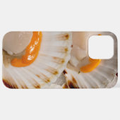 Mediterrane sint-jakobsschelpen iPhone hoesje (Achterkant horizontaal)