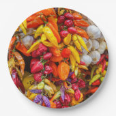 Mediterrane vlokken papieren bordje (Voorkant)