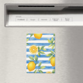 Mediterrane zomercitrus keukendecoratie magneet (Insitu (Vaatwasser))