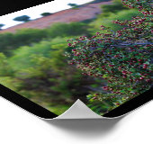Mediterranean Buckthorn in Canyon Poster (Hoek)