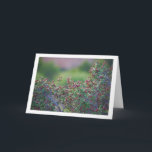 Mediterranean Buckthorn, Rhamnus Alaternus Plant Kaart<br><div class="desc">Mediterranean Buckthorn,  Rhamnus Alaternus Plant Greeting Card. You can easily customize this product for free if you would like to add wording or change the color of the background.</div>