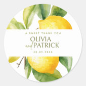 Mediterranean Italy Greece Lemon Vibrant Wedding Ronde Sticker (Voorkant)