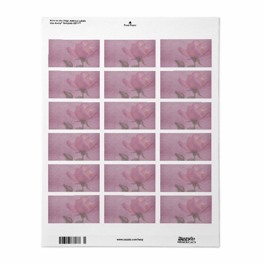 Medium Horizontale Roze Roze Apotheker Label (Full Sheet)